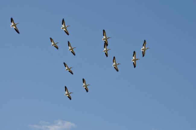 canstockphoto22336809